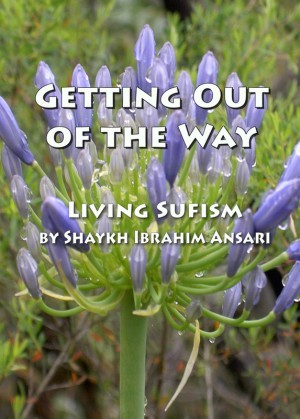 Getting Out of the Way Living Sufism