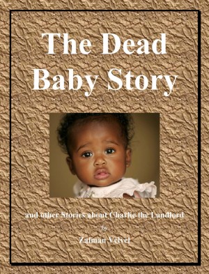 The Dead Baby Story And Other Stories About Charlie the Landlord