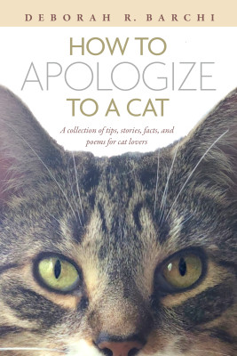 How to Apologize to a Cat