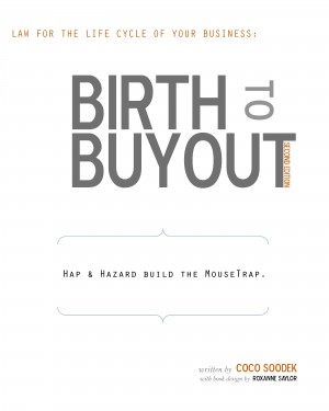 Birth to Buyout - Law for the Life Cycle of Your Business