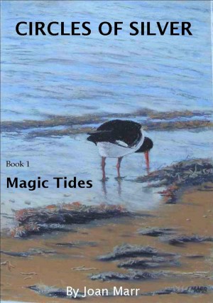 Magic Tides