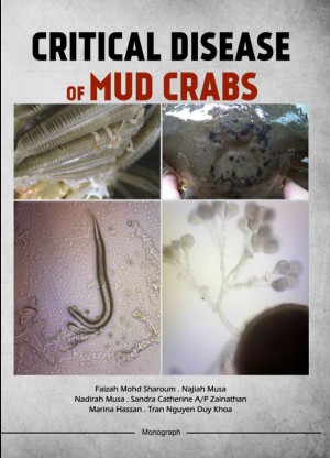 Critical Disease of Mud Crabs