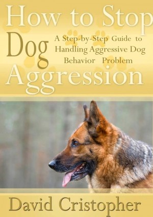 How to Stop Dog Aggression