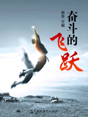 奋斗的飞跃(优秀人才成长方案)