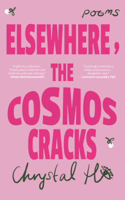 Elsewhere, the Cosmos Cracks