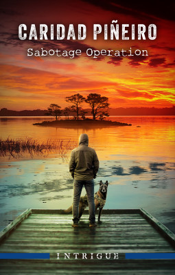 Sabotage Operation