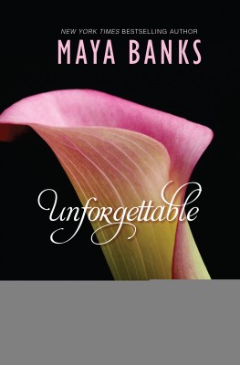 Unforgettable - 4 Book Box Set
