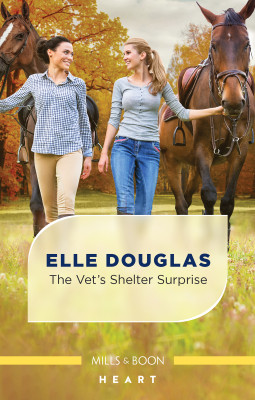 Vet's Shelter Surprise