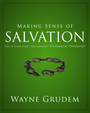 Making Sense of Salvation