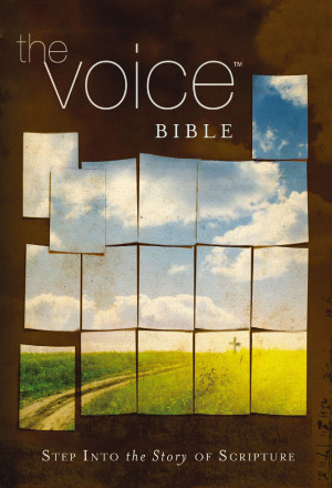Voice Bible