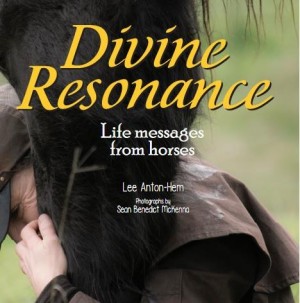 Divine Resonance: Life Messages from Horses