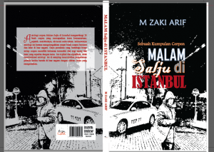 Malam Salju di Istanbul