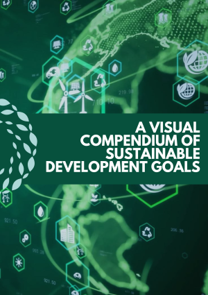 A Visual Compendium of Sustainable Development Goals