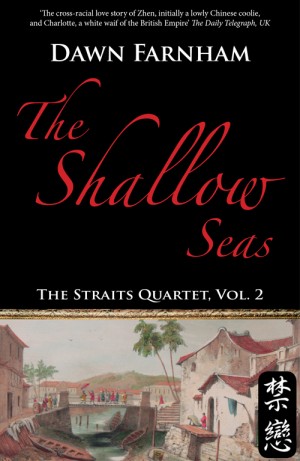 The Shallow Seas: A tale of two cities - Singapore and Batavia