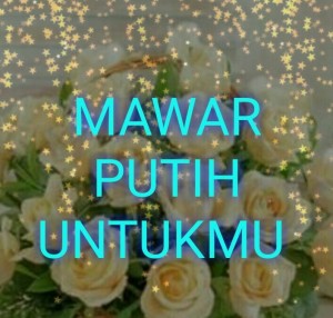 Mawar putih untukmu