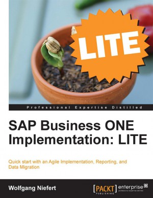 SAP Business ONE Implementation: LITE