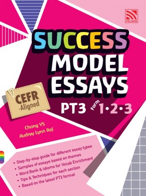 Success Model Essays for PT3