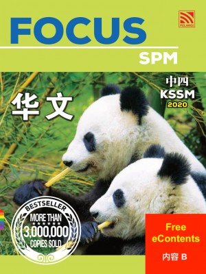 Focus Bahasa Cina Tingkatan 4 : 内容 B