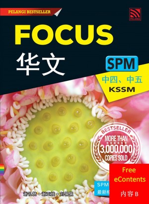 Focus SPM Bahasa Cina : 内容 B