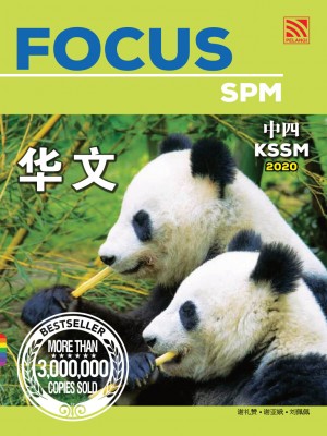 Focus Bahasa Cina Tingkatan 4