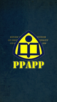 REPORT ON THE INTRODUCTION OF ELECTIONS