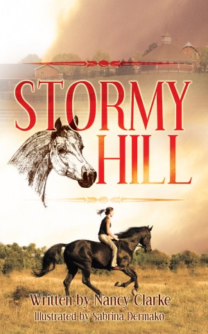 Stormy Hill