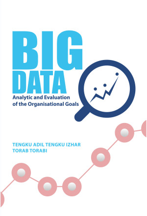 Big Data: Analytic and Evaluation of the Organisational Goals
