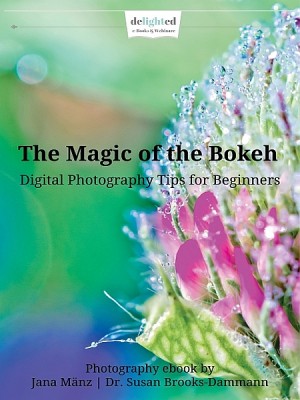 The Magic of the Bokeh